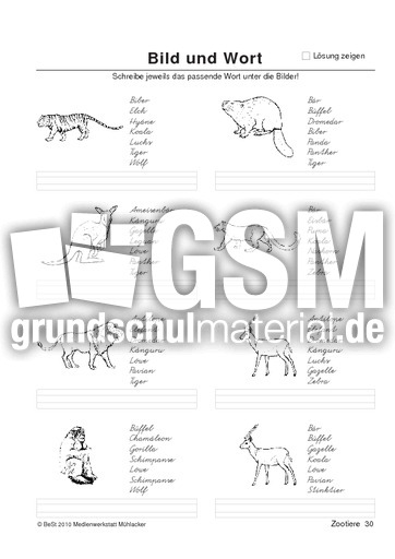 BuW Zootiere30.pdf